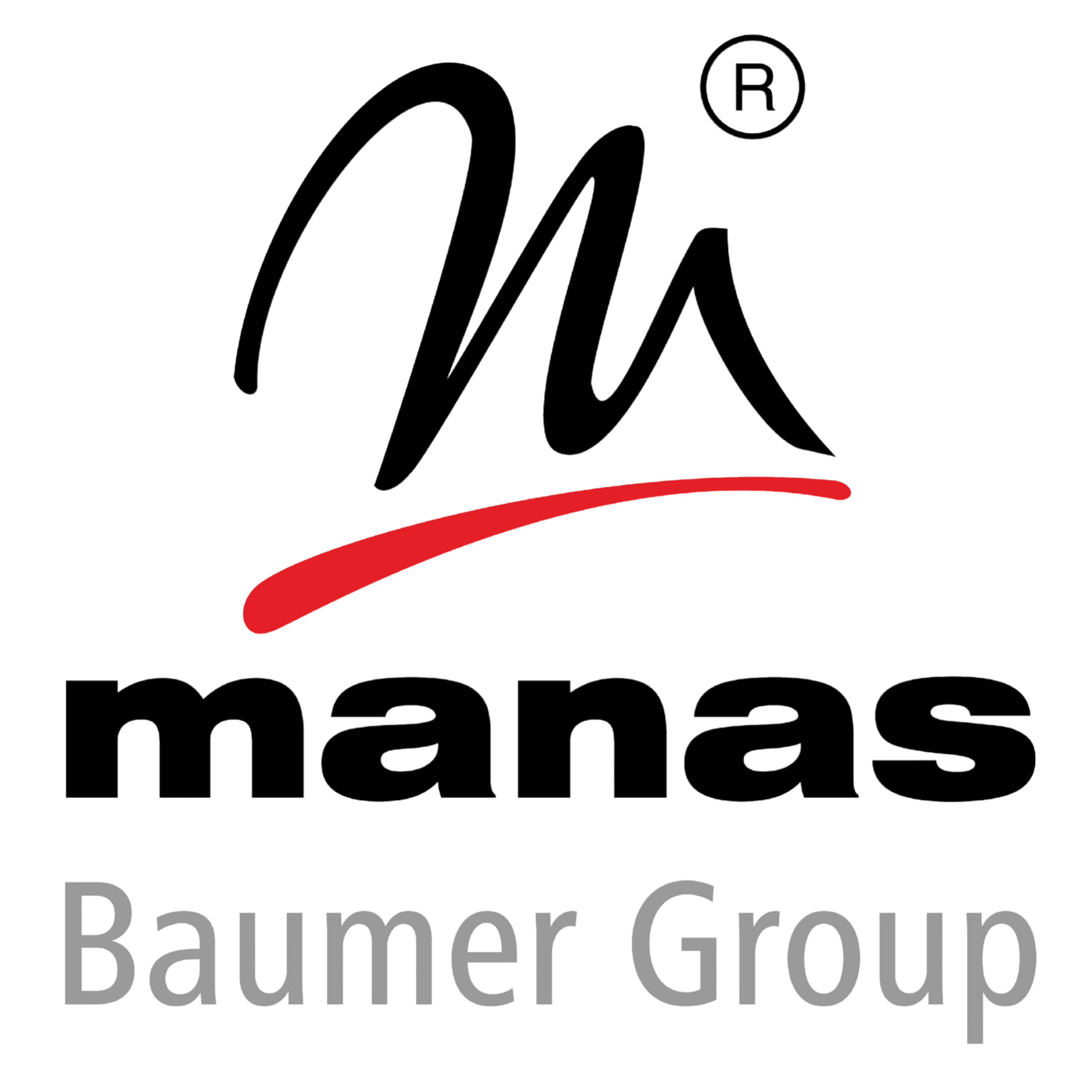 Manas Microsystems Pvt Ltd
