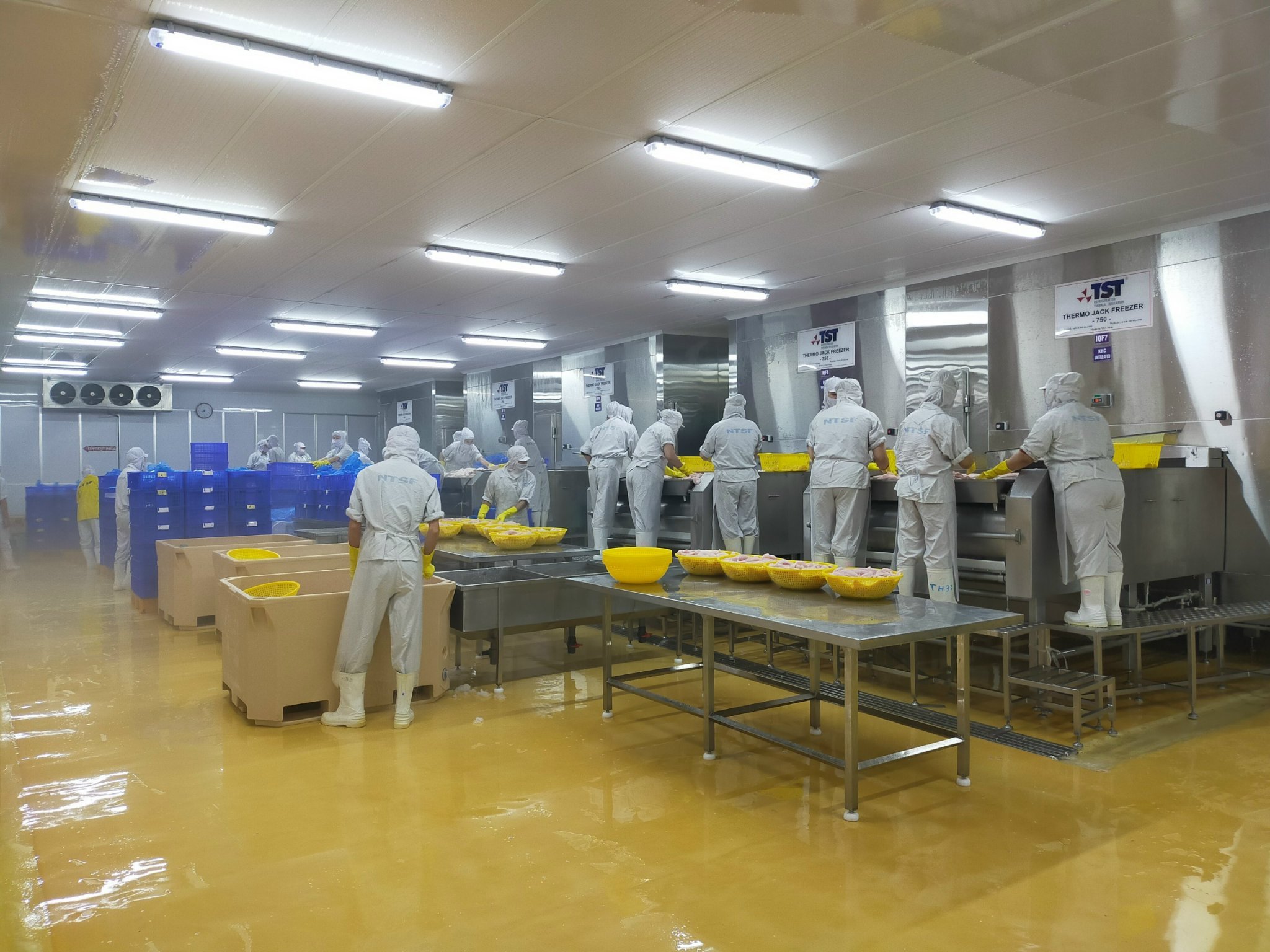 Machinery for food production industry: drying, freezing, processing…